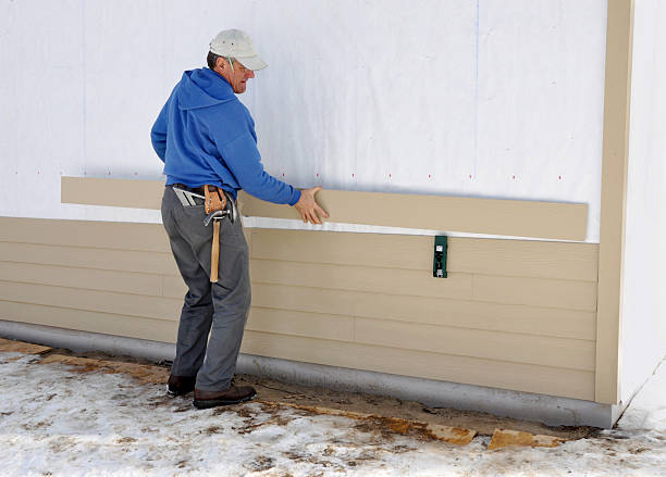 Best Brick Veneer Siding  in Festus, MO
