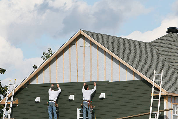 Best Fascia and Soffit Installation  in Festus, MO